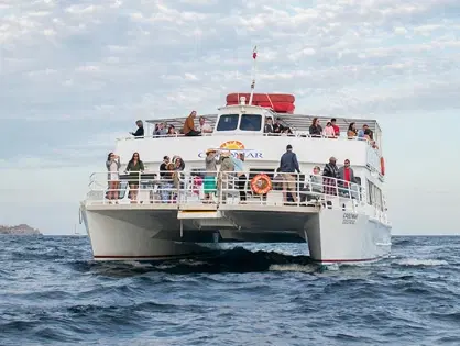 Fleet card image