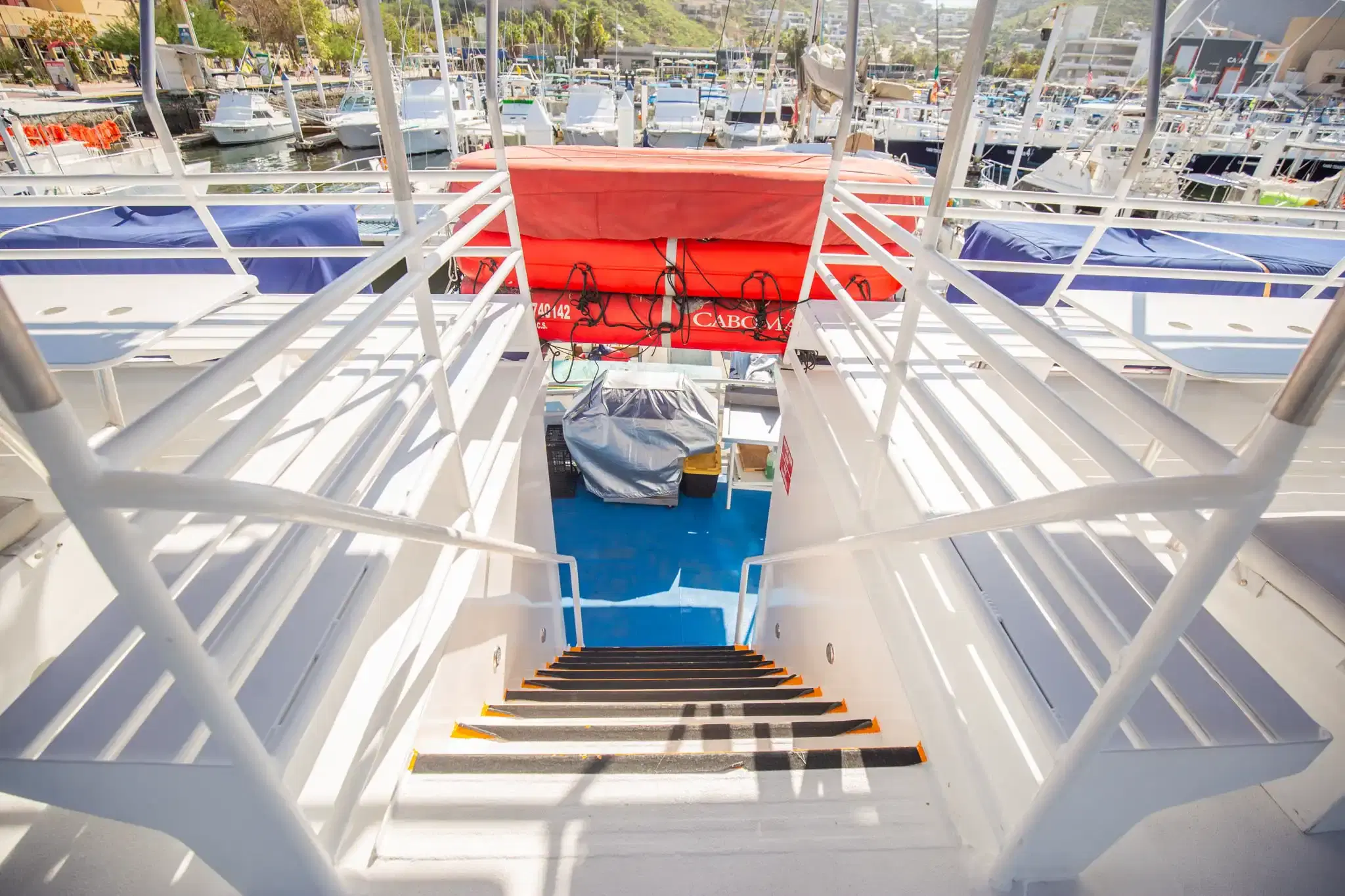 Cabomar Private Charter PezGato